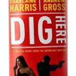 One Hour Mystery Thriller eBook Simon & Schuster MatchUp Collection-0