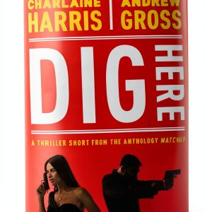One Hour Mystery Thriller eBook Simon & Schuster MatchUp Collection-0