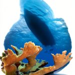 Scuba Diving Guide by Reef Smart Guides Kindle eBook Comprehensive-0