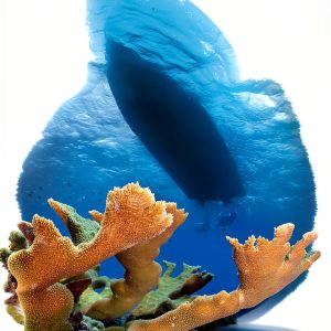 Scuba Diving Guide by Reef Smart Guides Kindle eBook Comprehensive-0